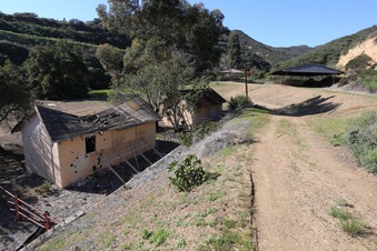 Enlarge photo 269