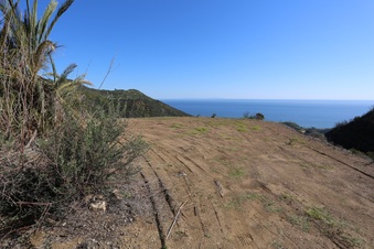 Enlarge photo 274