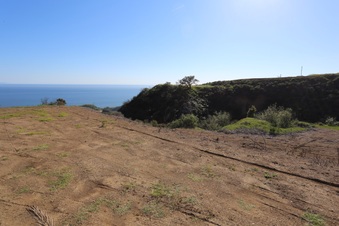 Enlarge photo 275