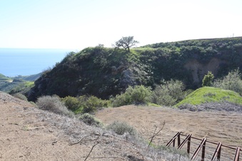 Enlarge photo 276