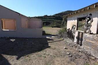 Enlarge photo 287