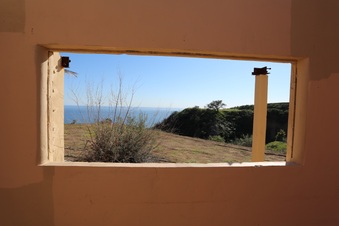 Enlarge photo 301