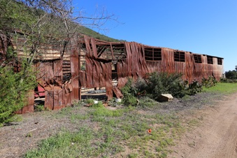 Enlarge photo 310