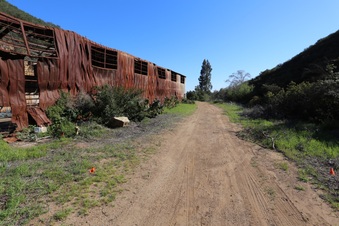 Enlarge photo 311