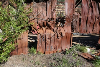 Enlarge photo 313