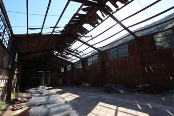 Enlarge photo 321