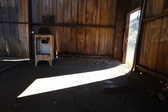 Enlarge photo 336