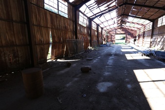 Enlarge photo 338