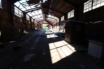 Enlarge photo 339