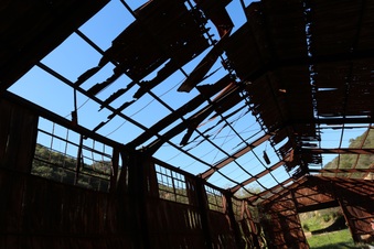 Enlarge photo 341