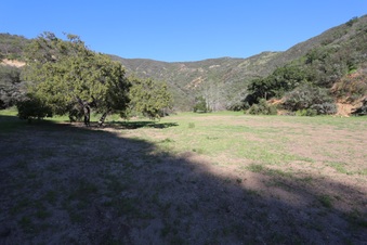 Enlarge photo 345