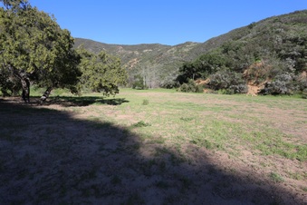 Enlarge photo 346