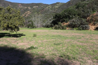 Enlarge photo 347