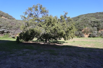 Enlarge photo 348