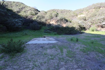 Enlarge photo 349