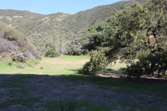 Enlarge photo 350