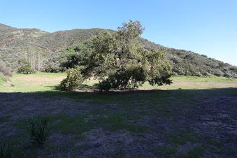 Enlarge photo 351