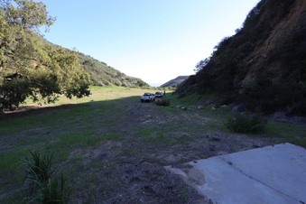 Enlarge photo 352