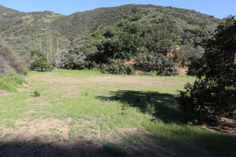 Enlarge photo 353