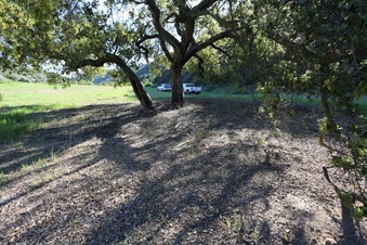 Enlarge photo 355