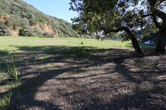 Enlarge photo 356