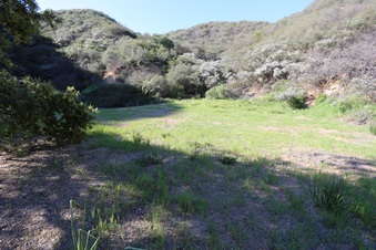 Enlarge photo 357
