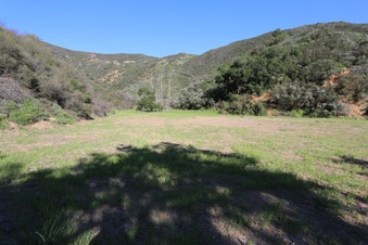 Enlarge photo 358