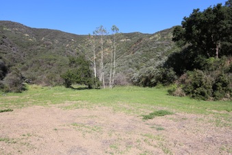 Enlarge photo 360