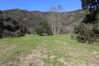 Enlarge photo 361