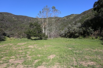 Enlarge photo 362