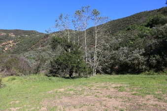 Enlarge photo 364