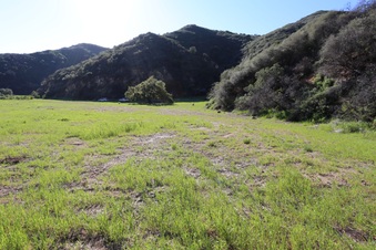 Enlarge photo 371