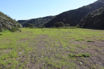 Enlarge photo 375