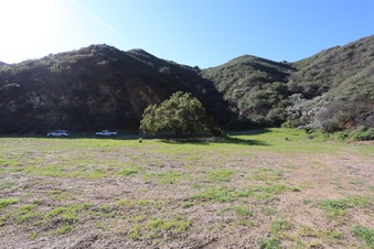 Enlarge photo 377