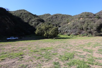 Enlarge photo 378