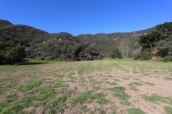 Enlarge photo 379