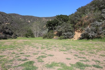 Enlarge photo 380