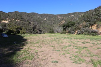 Enlarge photo 381