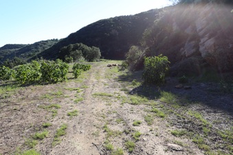 Enlarge photo 382