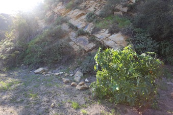 Enlarge photo 383