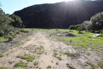 Enlarge photo 385