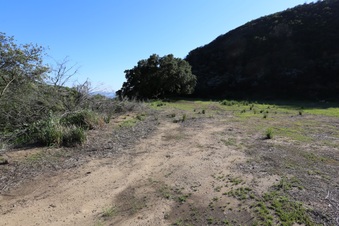 Enlarge photo 386