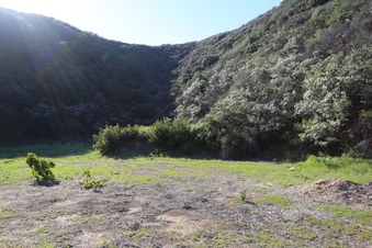 Enlarge photo 387