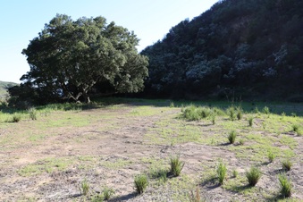 Enlarge photo 388