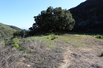Enlarge photo 389