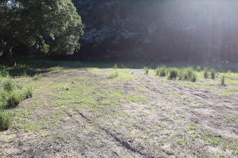 Enlarge photo 390