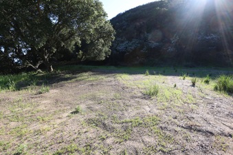 Enlarge photo 391