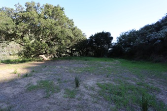 Enlarge photo 392