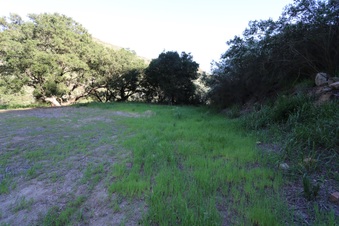 Enlarge photo 393