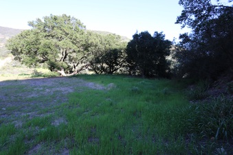 Enlarge photo 395